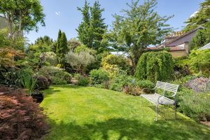 Garden- click for photo gallery